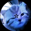 blue_cat026