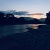 tortu_333