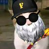 lsignie24