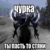 zxcpidometr
