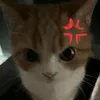 miyuuui16