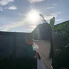 raraxq_0121