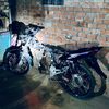 taufik154_