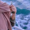 basmat.amel31