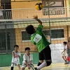 jjnavolleyball