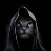 sheryarkhan7869