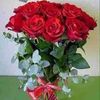 user4419919354160