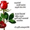 user99161433753074