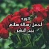 user5070498843632
