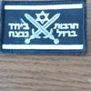 viveisrael770