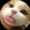 kitty_day62