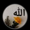 .arafath.35