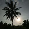user748181885