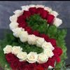 user1000601353461