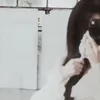 emlakedangthw