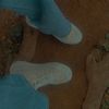 shades_ofanna