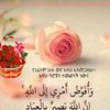 hayammn
