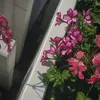al_y064