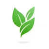 Superfood Remedies
