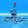 user8531543039584