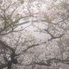 keita_monikasbern7