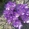 anna.anna9363