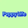 pvppylife
