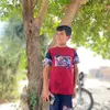 user4629290905061