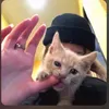 ren_xqzz