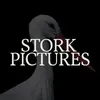 storkpicturesuk