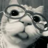its_me_langtoh