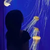 mi_ra_surprises
