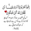 pakeezah63