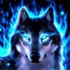 user8881522778387