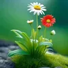 hong.diep142