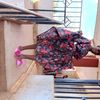 user4905607100971