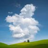 serene_landscapes_