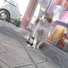 ilkin27_