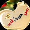 saalim.mowlaa