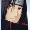 ash.ali692