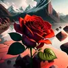 ali.3..m