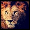 user1678815671460