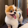 jeffyeoh23