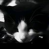 noo_201205
