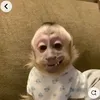 adhjkllfdc