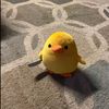ziiiiiifaaaaa