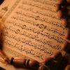 fatimah.saeed85