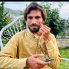 naseer.ullah103