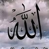 user1775817534408