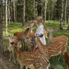44qwertasd_